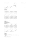 COMBINATION THERAPY COMPRISING AN MMP-14 BINDING PROTEIN diagram and image