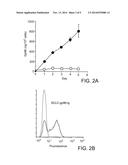 MODIFIED HEAT SHOCK PROTEIN-ANTIGENIC PEPTIDE COMPLEX diagram and image