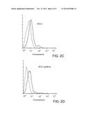 MODIFIED HEAT SHOCK PROTEIN-ANTIGENIC PEPTIDE COMPLEX diagram and image