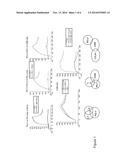 PD-1 Antibodies and PD-L1 Antibodies and Uses Thereof diagram and image