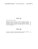 THERAPEUTIC HUMAN ANTI-IL-1R1 MONOCLONAL ANTIBODY diagram and image