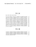 THERAPEUTIC HUMAN ANTI-IL-1R1 MONOCLONAL ANTIBODY diagram and image