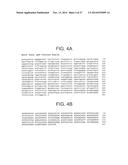 THERAPEUTIC HUMAN ANTI-IL-1R1 MONOCLONAL ANTIBODY diagram and image