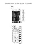 METHODS AND PHARMACEUTICAL COMPOSITIONS FOR TREATING CANCER diagram and image