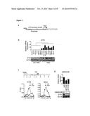 METHODS AND PHARMACEUTICAL COMPOSITIONS FOR TREATING CANCER diagram and image