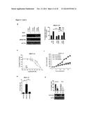 METHODS AND PHARMACEUTICAL COMPOSITIONS FOR TREATING CANCER diagram and image