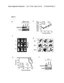 METHODS AND PHARMACEUTICAL COMPOSITIONS FOR TREATING CANCER diagram and image