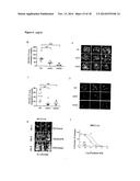 METHODS AND PHARMACEUTICAL COMPOSITIONS FOR TREATING CANCER diagram and image