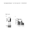 METHODS AND PHARMACEUTICAL COMPOSITIONS FOR TREATING CANCER diagram and image