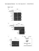 METHODS AND PHARMACEUTICAL COMPOSITIONS FOR TREATING CANCER diagram and image