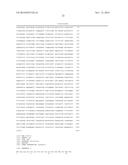 ADENOVIRAL VECTOR-BASED MALARIA VACCINES diagram and image