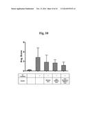 COMPOSITION FOR IMPROVING SKIN CONDITIONS, CONTAINING EXTRACELLULAR DOMAIN     OF HUMAN BONE MORPHOGENETIC PROTEIN RECEPTOR 1a AS ACTIVE INGREDIENT diagram and image