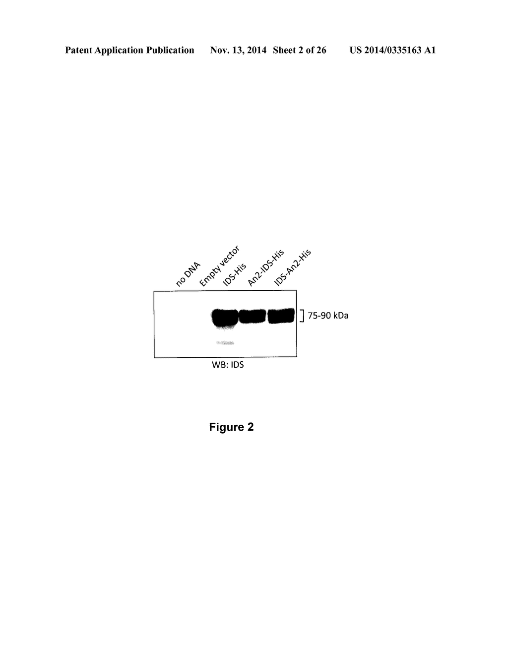 TARGETED IDURONATE-2-SULFATASE COMPOUNDS - diagram, schematic, and image 03