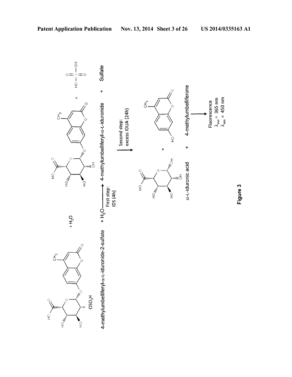 TARGETED IDURONATE-2-SULFATASE COMPOUNDS - diagram, schematic, and image 04