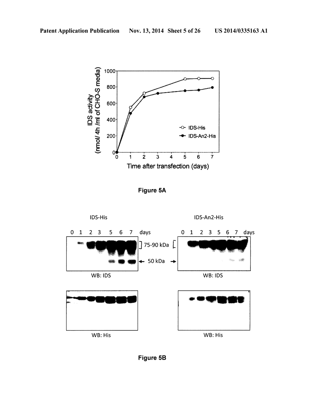 TARGETED IDURONATE-2-SULFATASE COMPOUNDS - diagram, schematic, and image 06