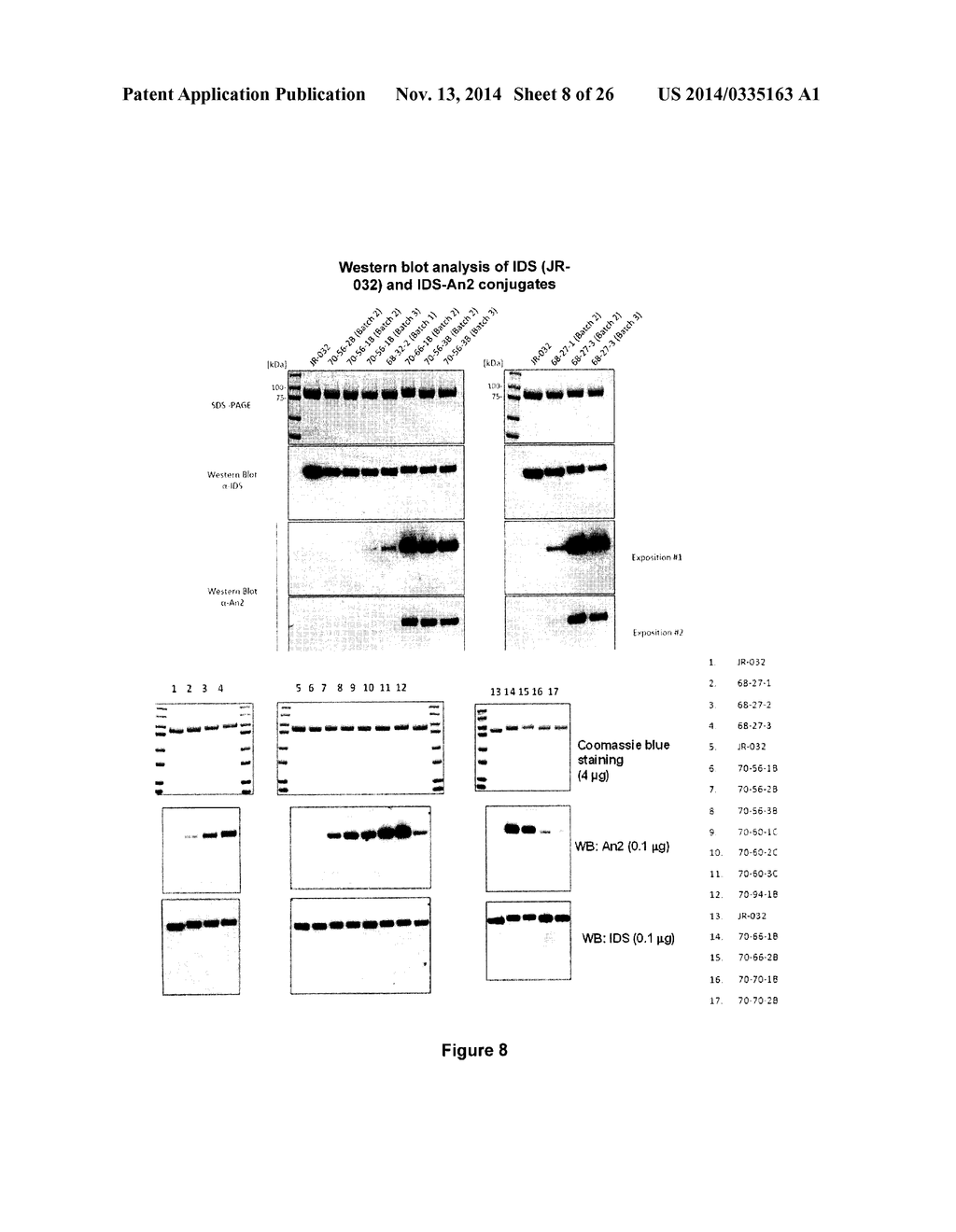 TARGETED IDURONATE-2-SULFATASE COMPOUNDS - diagram, schematic, and image 09