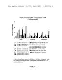 TARGETED IDURONATE-2-SULFATASE COMPOUNDS diagram and image