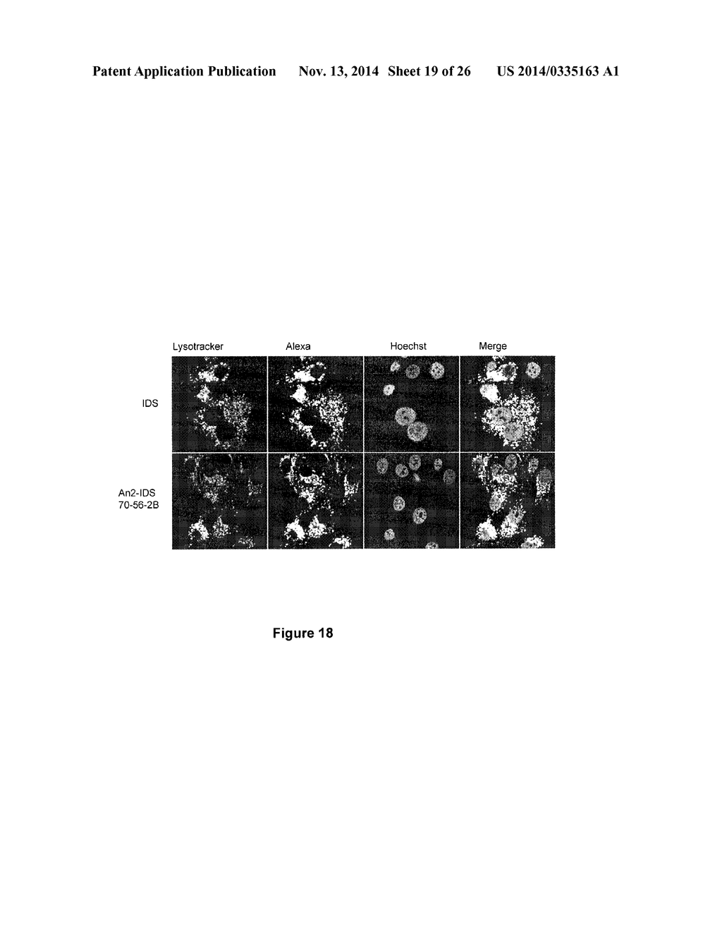 TARGETED IDURONATE-2-SULFATASE COMPOUNDS - diagram, schematic, and image 20