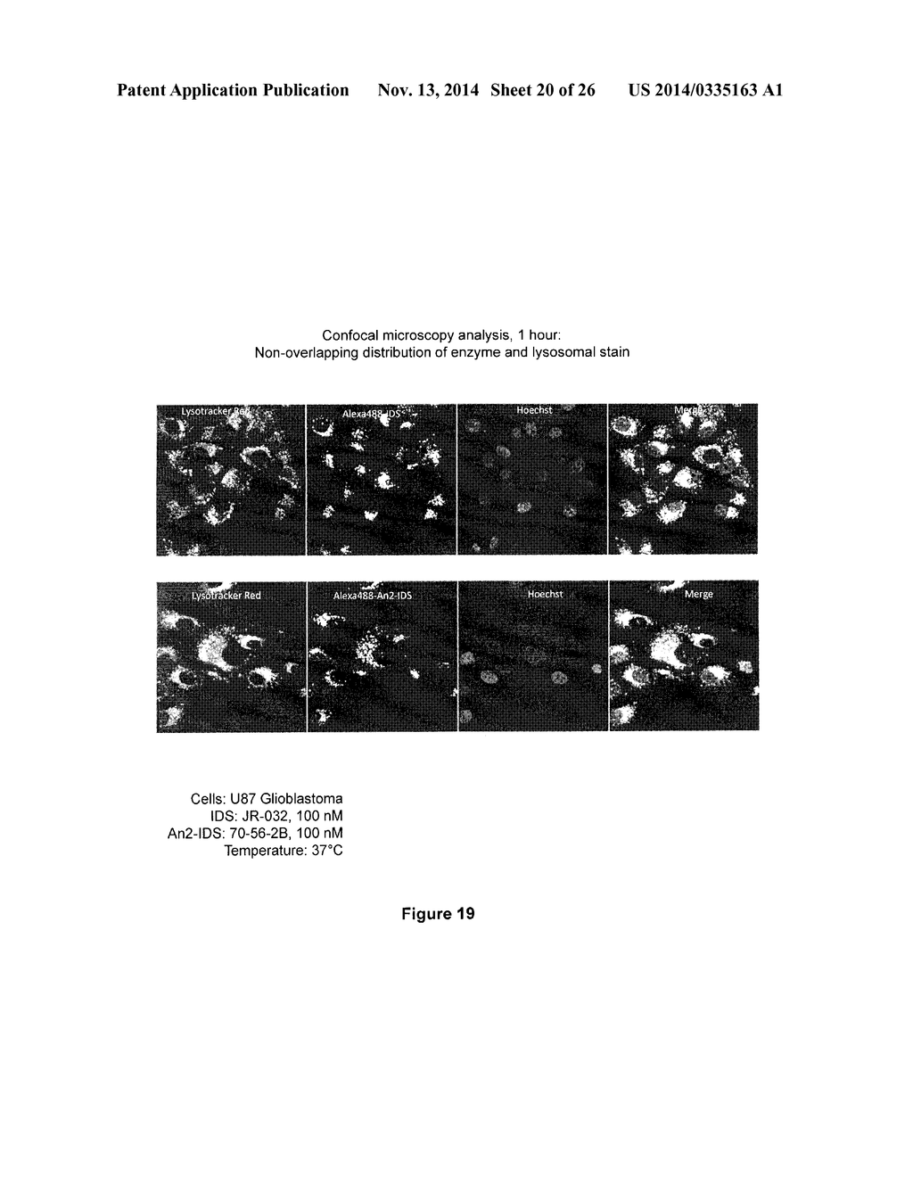 TARGETED IDURONATE-2-SULFATASE COMPOUNDS - diagram, schematic, and image 21