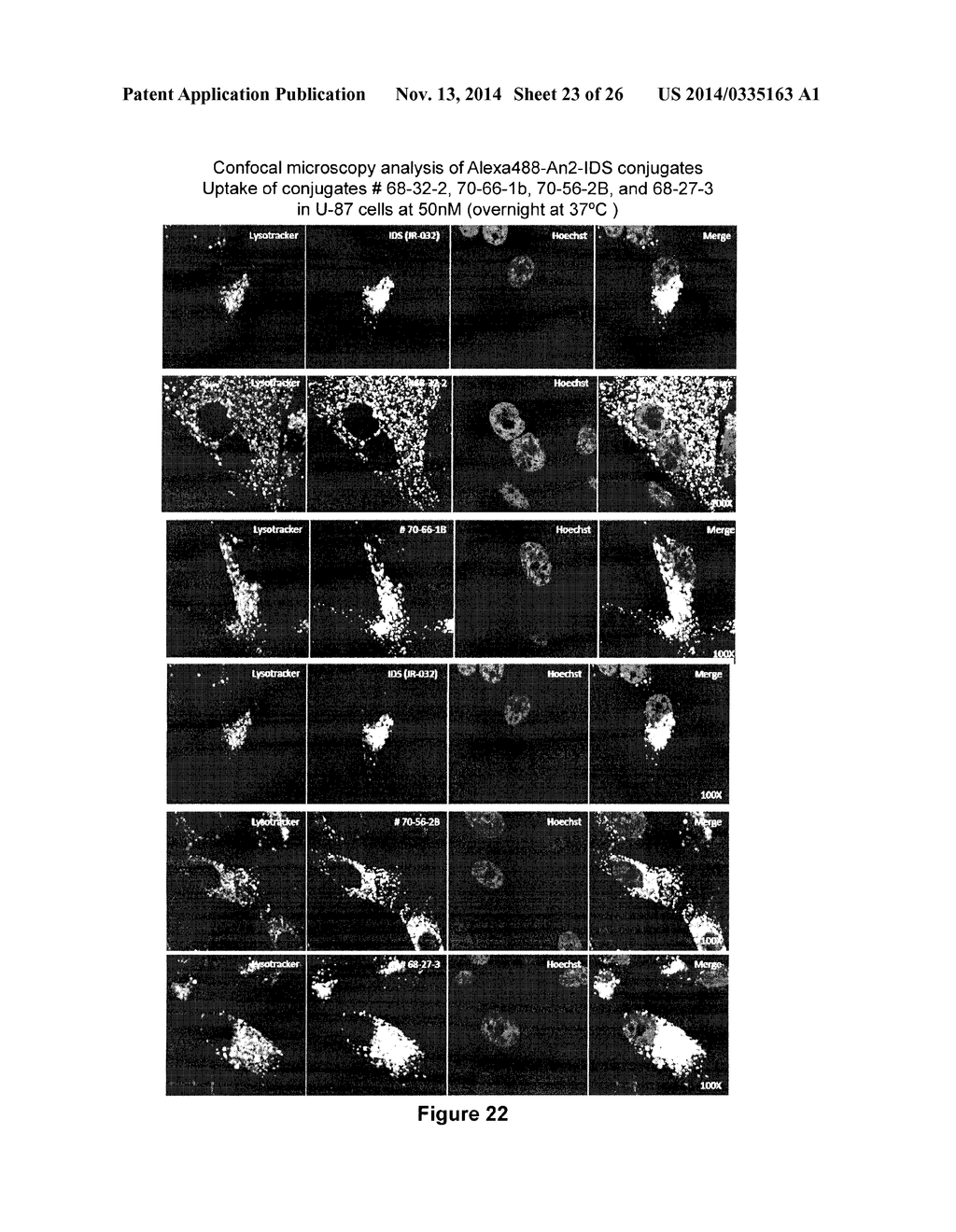 TARGETED IDURONATE-2-SULFATASE COMPOUNDS - diagram, schematic, and image 24