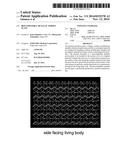 BIOCOMPATIBLE METALLIC POROUS PLATE diagram and image