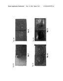 BIOCOMPATIBLE METALLIC POROUS PLATE diagram and image