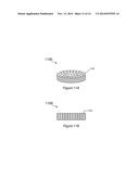 BI-POLAR PROTECTED ELECTRODES AND MULTI-CELL STACKS diagram and image