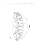 ORAL ILLUMINATION SYSTEMS AND METHODS diagram and image