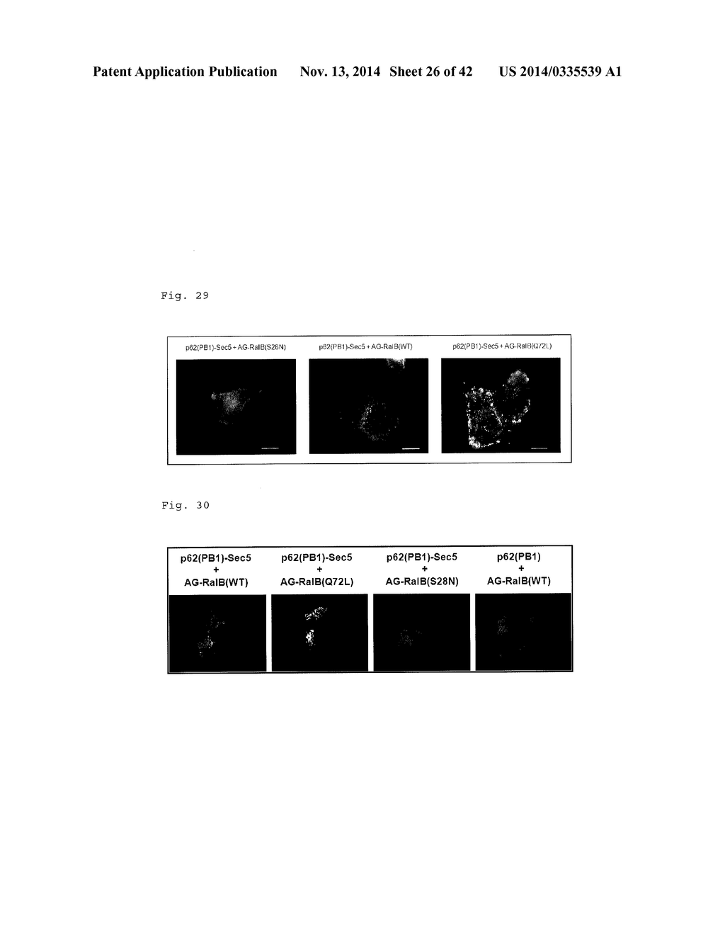 METHOD FOR DETECTING PROTEIN-PROTEIN INTERACTION - diagram, schematic, and image 27