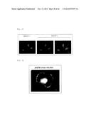 METHOD FOR DETECTING PROTEIN-PROTEIN INTERACTION diagram and image