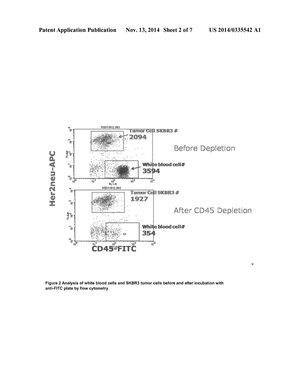 MOLECULAR CHARACTERIZATION OF CIRCULATING TUMOR CELLS - diagram, schematic, and image 03
