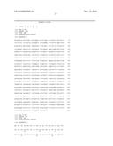 STABILIZED HUMAN IGG2 AND IGG3 ANTIBODIES diagram and image