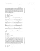 STABILIZED HUMAN IGG2 AND IGG3 ANTIBODIES diagram and image