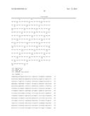 STABILIZED HUMAN IGG2 AND IGG3 ANTIBODIES diagram and image