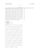 STABILIZED HUMAN IGG2 AND IGG3 ANTIBODIES diagram and image