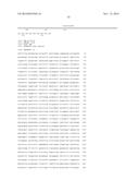 STABILIZED HUMAN IGG2 AND IGG3 ANTIBODIES diagram and image