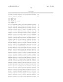 STABILIZED HUMAN IGG2 AND IGG3 ANTIBODIES diagram and image