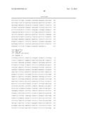 STABILIZED HUMAN IGG2 AND IGG3 ANTIBODIES diagram and image