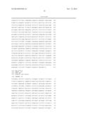 STABILIZED HUMAN IGG2 AND IGG3 ANTIBODIES diagram and image