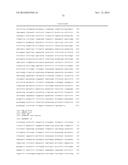 STABILIZED HUMAN IGG2 AND IGG3 ANTIBODIES diagram and image