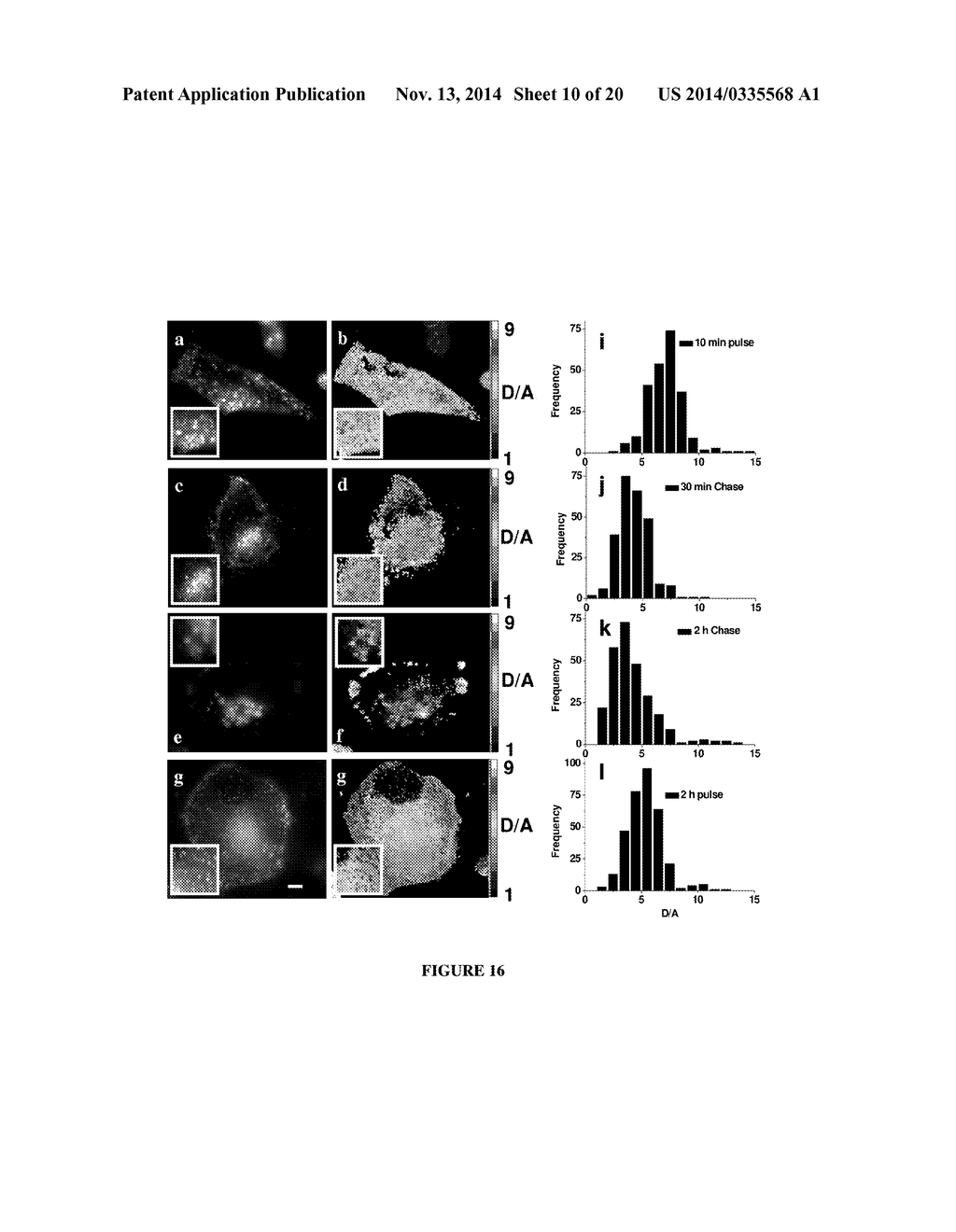 NUCLEIC ACID ASSEMBLY, VECTOR, CELL, METHODS AND KIT THEREOF - diagram, schematic, and image 11