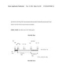 NUCLEIC ACID ASSEMBLY, VECTOR, CELL, METHODS AND KIT THEREOF diagram and image