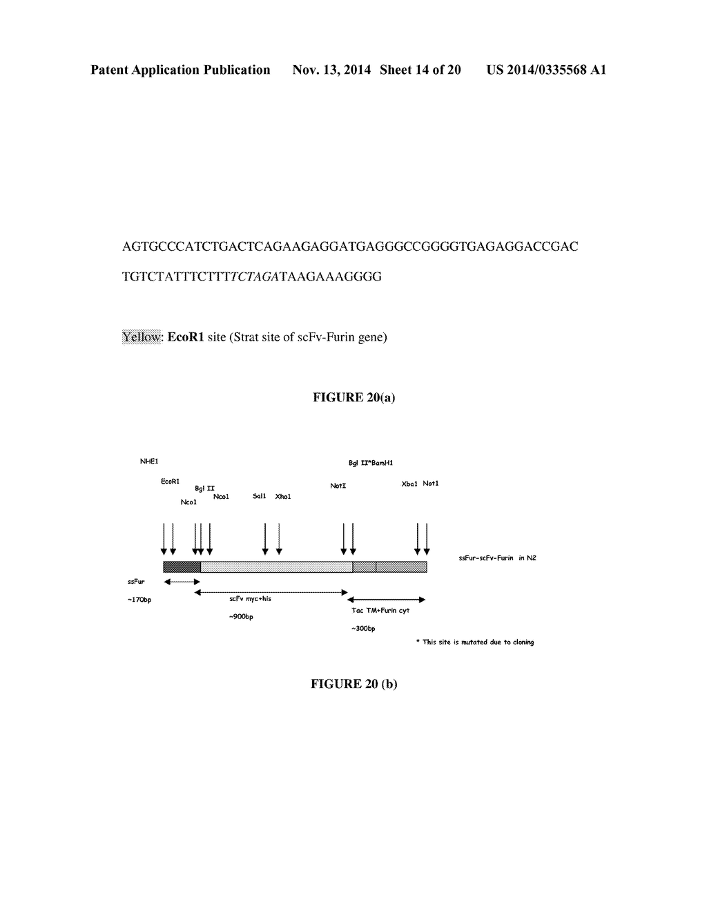 NUCLEIC ACID ASSEMBLY, VECTOR, CELL, METHODS AND KIT THEREOF - diagram, schematic, and image 15