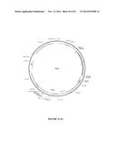 NUCLEIC ACID ASSEMBLY, VECTOR, CELL, METHODS AND KIT THEREOF diagram and image