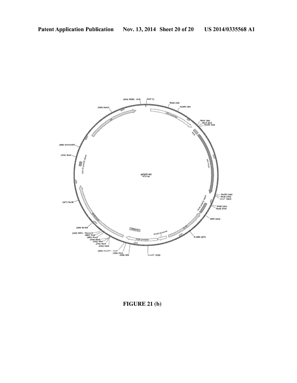 NUCLEIC ACID ASSEMBLY, VECTOR, CELL, METHODS AND KIT THEREOF - diagram, schematic, and image 21