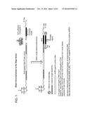 Method Of Amplifying Nucleic Acid Sequences diagram and image