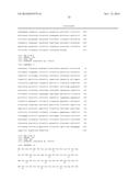 DESATURASES AND PROCESS FOR THE PRODUCTION OF POLYUNSATURATED FATTY ACIDS     IN TRANSGENIC ORGANISMS diagram and image