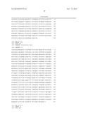 DESATURASES AND PROCESS FOR THE PRODUCTION OF POLYUNSATURATED FATTY ACIDS     IN TRANSGENIC ORGANISMS diagram and image