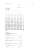 DESATURASES AND PROCESS FOR THE PRODUCTION OF POLYUNSATURATED FATTY ACIDS     IN TRANSGENIC ORGANISMS diagram and image