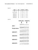 HUMAN PLURIPOTENT STEM CELLS PRODUCED BY SOMATIC CELL NUCLEAR TRANSFER diagram and image